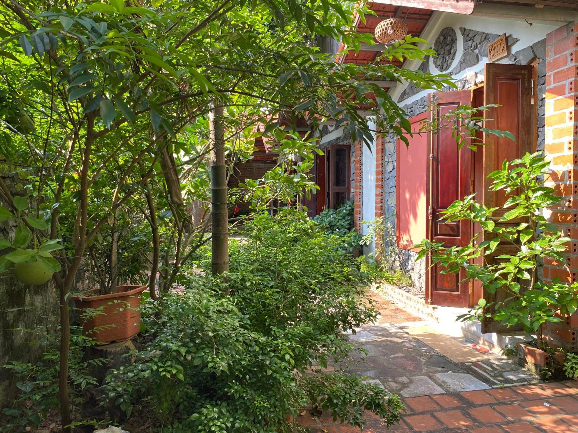 Tam Coc Ngo Dong Homestay Ниньбинь Экстерьер фото
